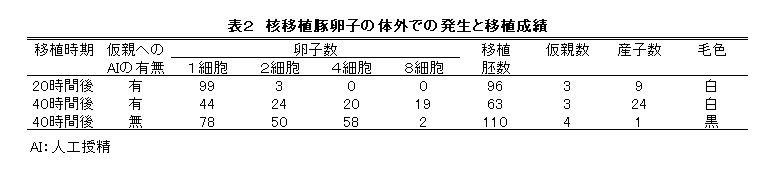 表2 核移植豚卵子の体外での発生と移植成績