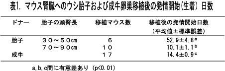 表1 マウス腎臓へのウシ胎子及び成牛卵巣移植後の発情開始日数