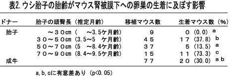 表2 ウシ胎子の胎齢がマウス腎被膜下への卵巣の正着に及ぼす影響