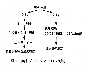 図1 糞中プロジェステロン測定