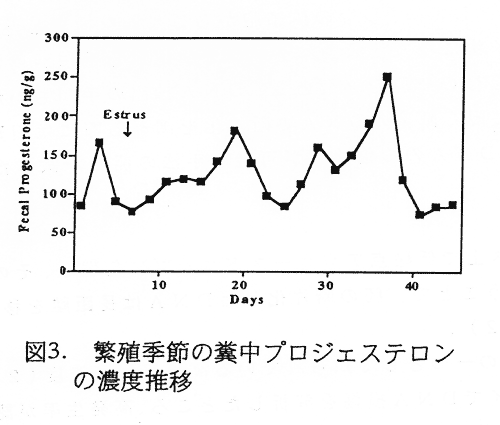 図3 繁殖季節の糞中プロジェステロンの濃度推移