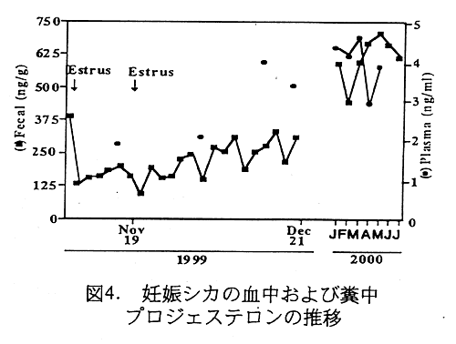 図4 妊娠シカの血中および糞中プロジェステロンの推移