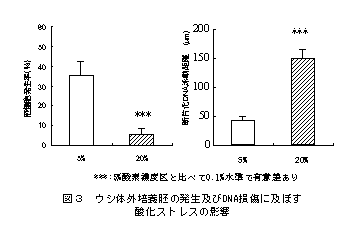 図3 ウシ体外培養胚の発生及びDNA損傷に及ぼす酸化ストレスの影響