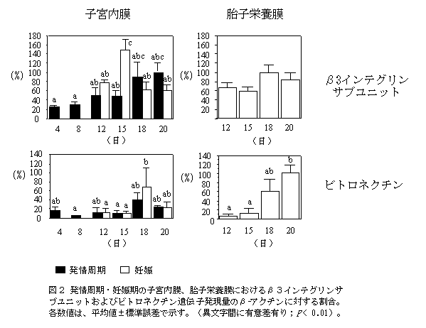 図2 発情周期・妊娠期の子宮内膜、胎子栄養膜におけるβ3インテグリンサブユニットおよびビトロネクチン遺伝子発現量のβ-アクチンに対する割合