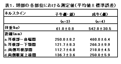 表1 頭部の各部位における測定値