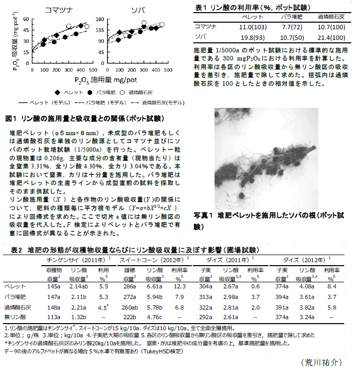 表1～2,図1,写真1