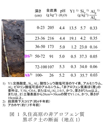 図1 久住高原の非アロフェン質黒ボク土の断面(地点1)