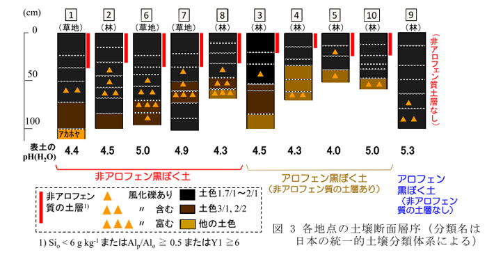 図3 各地点の土壌断面層序(分類名は日本の統一的土壌分類体系による)