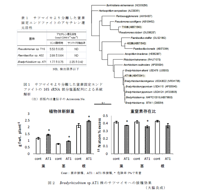 表1,図1～2