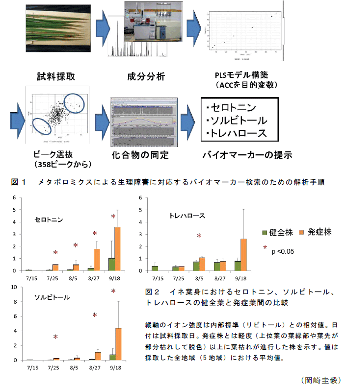 図1～2