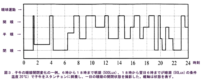 図3 子牛の眼瞼開閉変化の一例