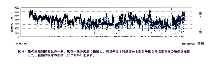 図4 馬の眼瞼開閉変化の一例