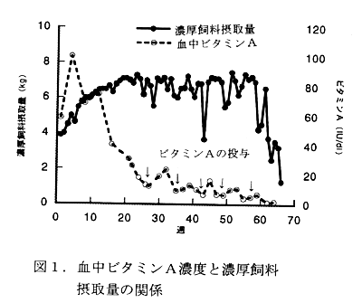 図1 血中ビタミンA濃度と濃厚飼料摂取量の関係