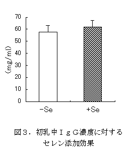 図3 初乳中IgG濃度に対するセレン添加効果