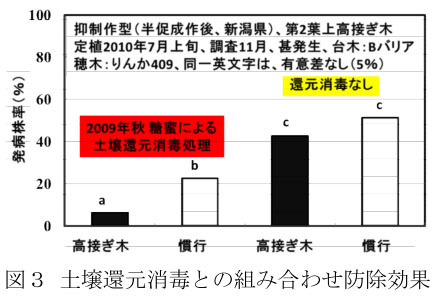 図3 土壌還元消毒との組み合わせ防除効果