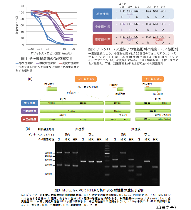 図1～3