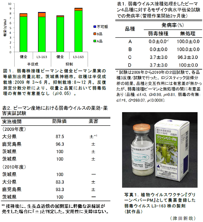 図1,表1～2,写真1