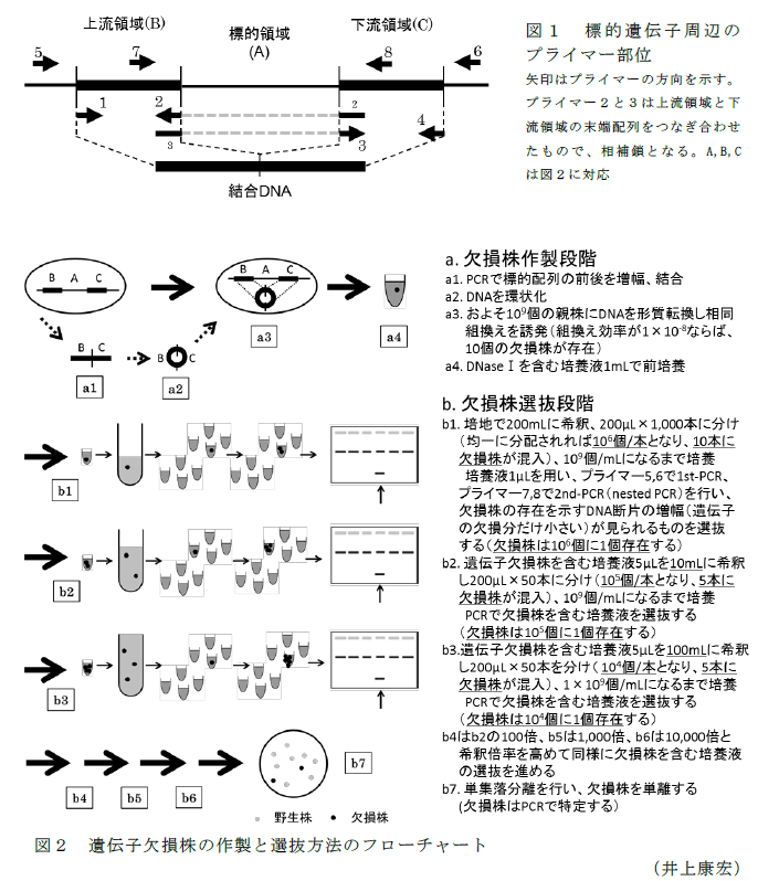 図1～2