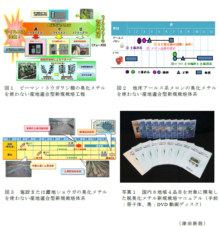 図1～3,写真1