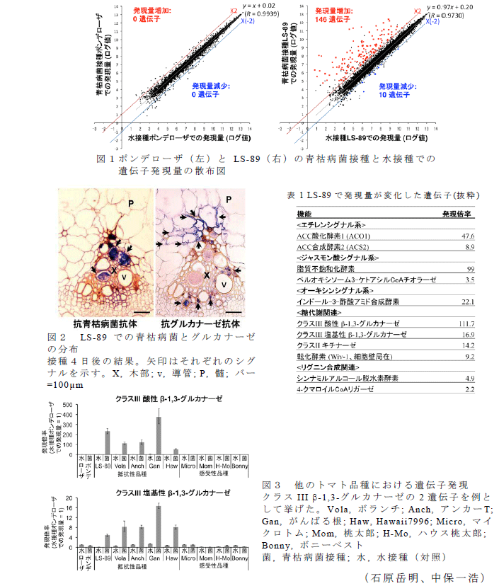 図1～3,表1