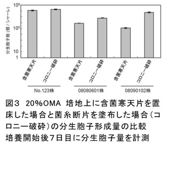 図3 20%OMA培地上に含菌寒天片を置床した場合と菌糸断片を塗布した場合(コロニー破砕)の分生胞子形成量の比較 培養開始後7日目に分生胞子量を計測