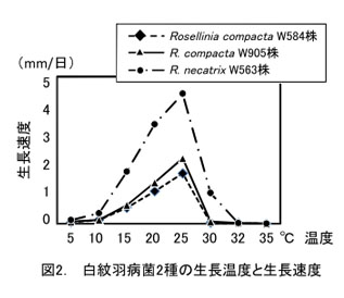 図2. 白紋羽病菌2種の生長温度と生長速度