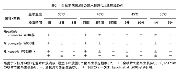 表2. 白紋羽病菌2種の温水処理による死滅条件