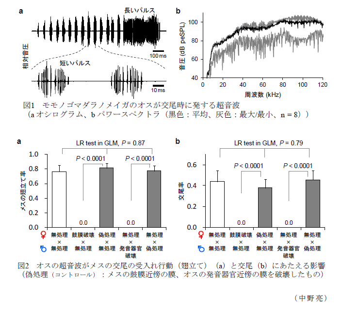 図1～2