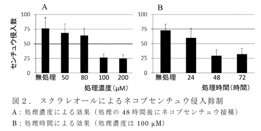 図2. スクラレオールによるネコブセンチュウ侵入抑制