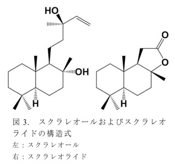 図3. スクラレオールおよびスクラレオライドの構造式