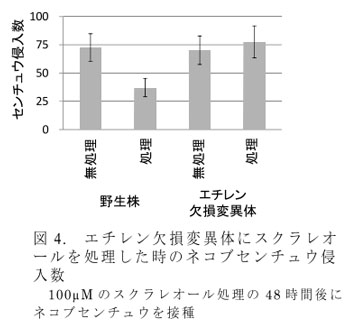 図4. エチレン欠損変異体にスクラレオールを処理した時のネコブセンチュウ侵入数