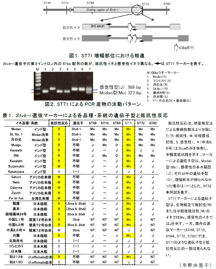 図1～2,表1