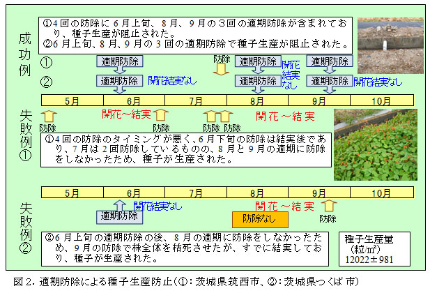 図2.適期防除による種子生産防止(1:茨城県筑西市、2:茨城県つくば市)