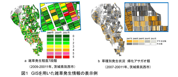 表1 GISを用いた雑草発生情報の表示例