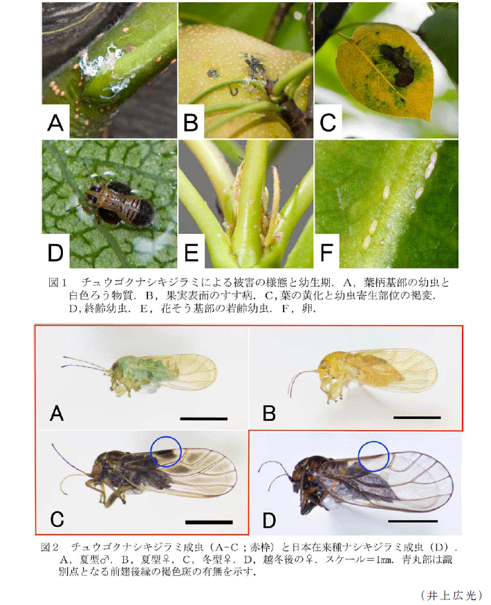 図1～2