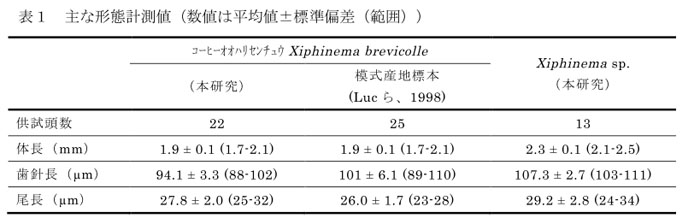 表1 主な形態計測値