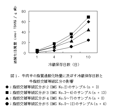 図1 牛肉中の脂質過酸化物質量に及ぼす冷蔵保存日数と牛脂肪交雑等級区分の影響