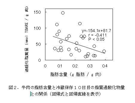 図2 牛肉の脂肪含量と冷蔵保存10日目の脂質過酸化物量との関係