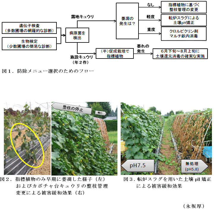 図1～3