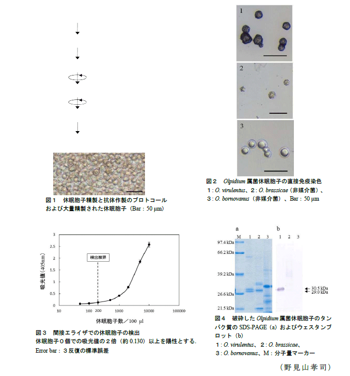 図1～4