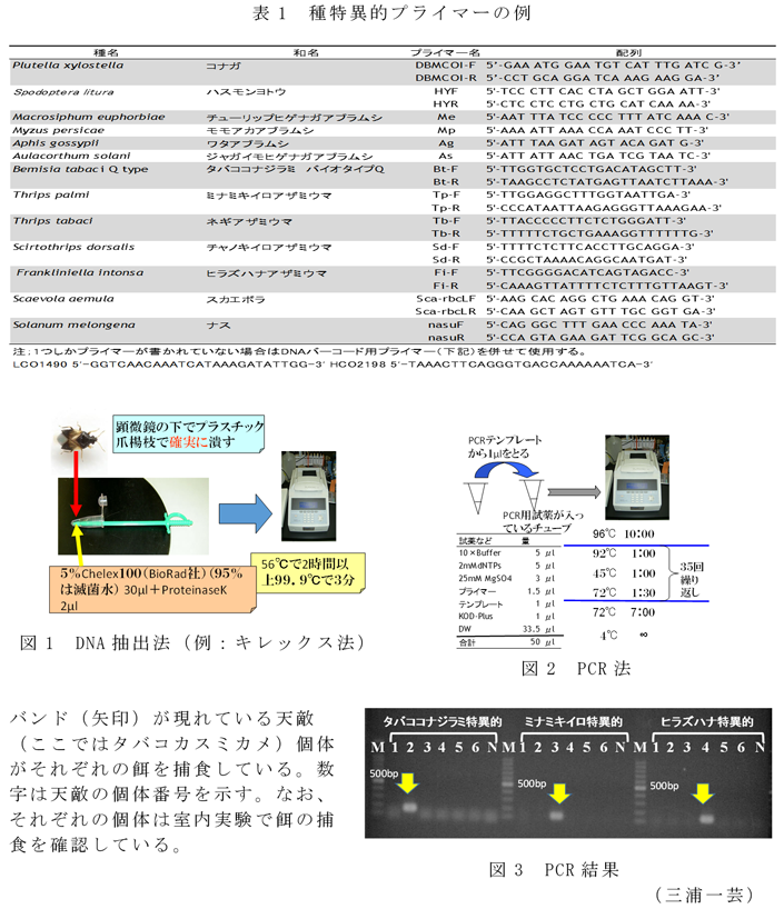 図1