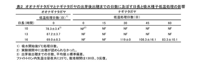 表2 オオナギナタガヤとナギナタガヤの出芽後出穂までの日数に及ぼす日長と吸水種子低温処理の影響