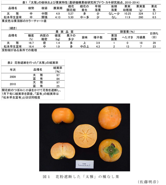 図1,表1～2