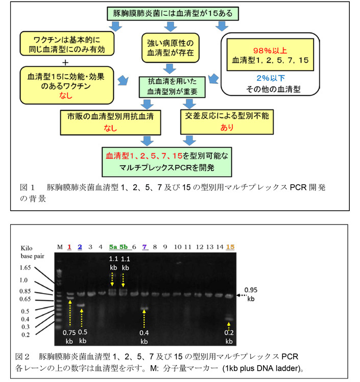 図1～図2