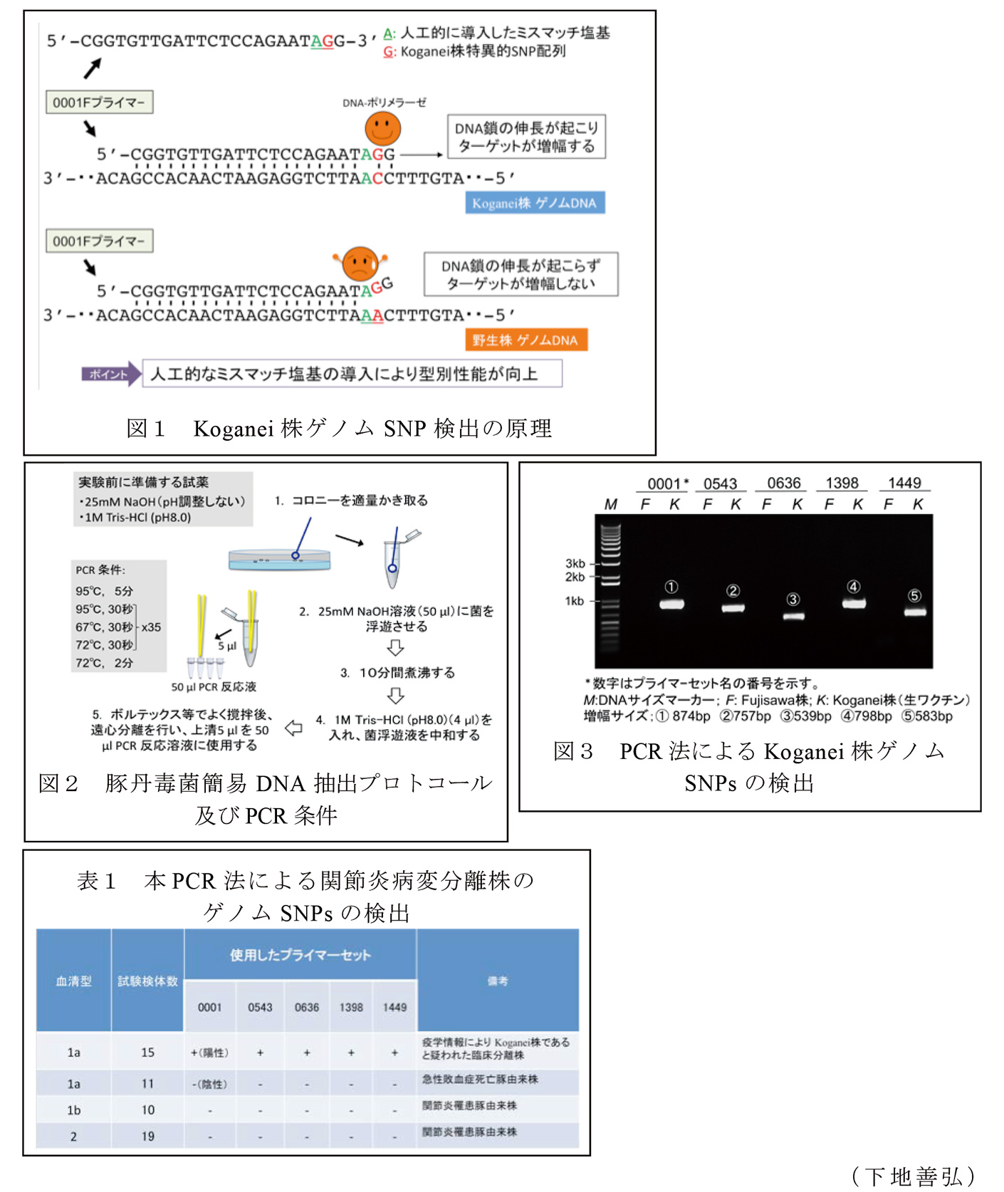 図1～図3,表1