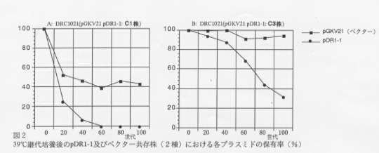 図2.39°C継代培養後のpDR1-1及びベクター共存株(2種)における各プラスミドの保有率(%)