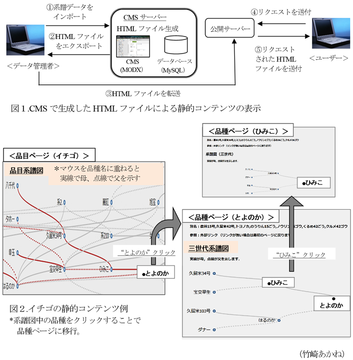 図1