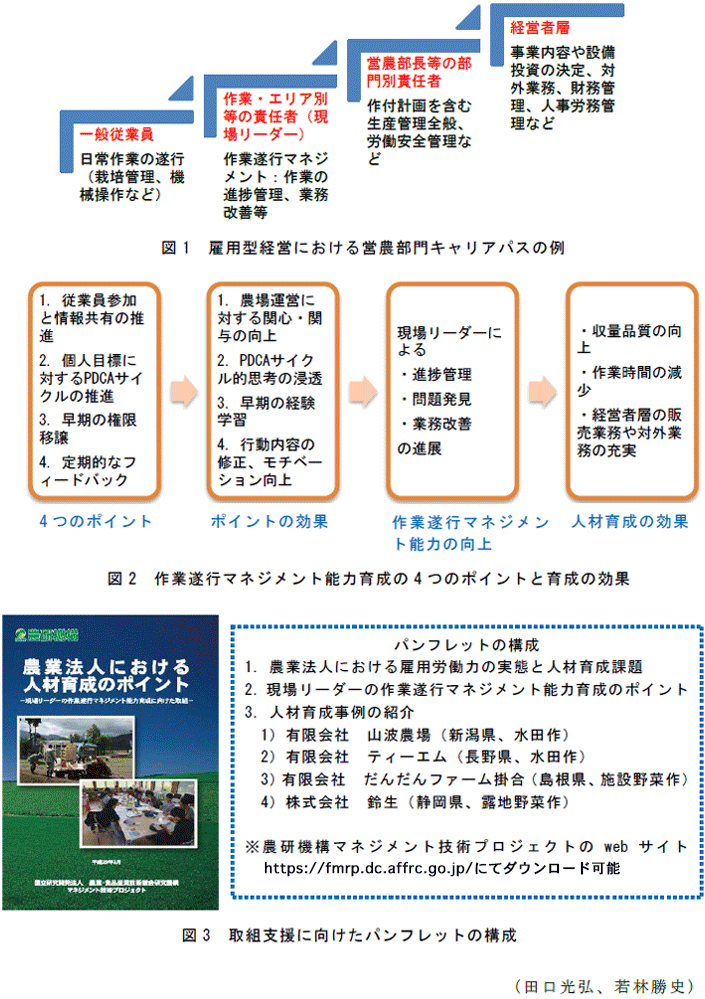 図1 雇用型経営における営農部門キャリアパスの例;図2 作業遂行マネジメント能力育成の4つのポイントと育成の効果;図3 取組支援に向けたパンフレットの構成