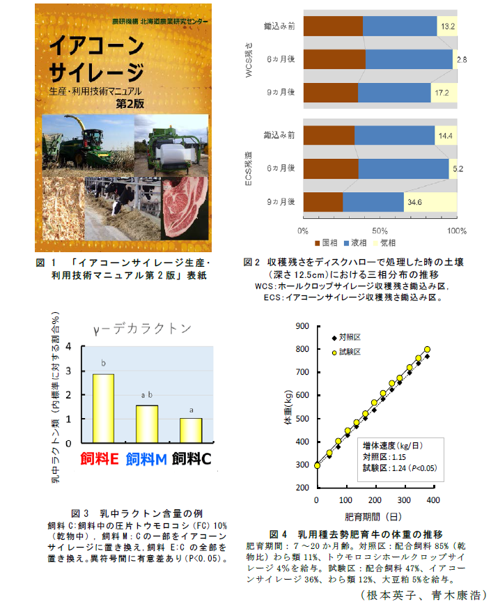 図1「イアコーンサイレージ生産・利用技術マニュアル第2版」表紙;図2 収穫残さをディスクハローで処理した時の土壌(深さ12.5cm)における三相分布の推移;図3 乳中ラクトン含量の例;図4 乳用種去勢肥育牛の体重の推移