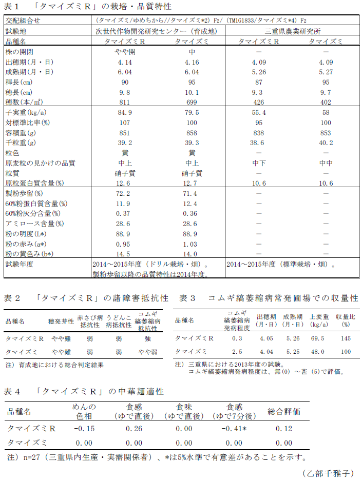 表1「タマイズミR」の栽培・品質特性;表2「タマイズミR」の諸障害抵抗性;表3コムギ縞萎縮病常発圃場での収量性;表4「タマイズミR」の中華麺適性
